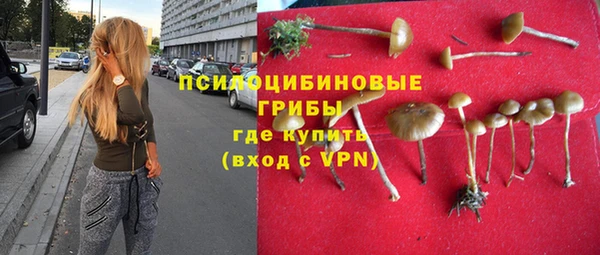 круглые Гусиноозёрск